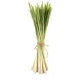 Lemon Grass Special - Bunch