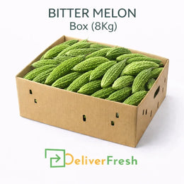 Fresh bitter melon box 8kg packed in carton, premium quality vegetables from DeliverFresh
