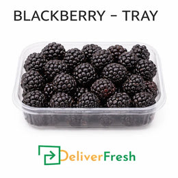 Premium fresh blackberries in tray packaging from DeliverFresh wholesale fruit suppliers Melbourne