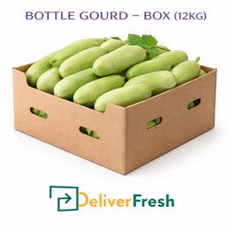 Fresh bottle gourd box 12kg supplied by DeliverFresh – premium quality lauki for wholesale and business delivery