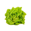 Lettuce Butter - Pieces DeliverFresh