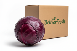 Cabbage Red / Purple