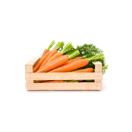 Carrot 15kg - Bag