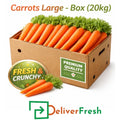 20kg box of large carrots with DeliverFresh branding, premium quality carrots for catering, retail, and bulk buyers