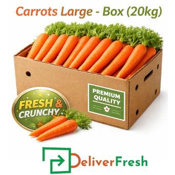20kg box of large carrots with DeliverFresh branding, premium quality carrots for catering, retail, and bulk buyers
