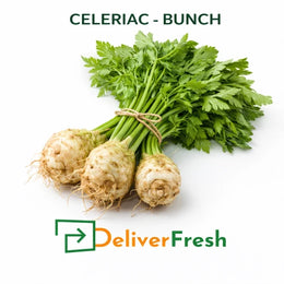 Fresh celeriac bunch with roots and leafy greens
