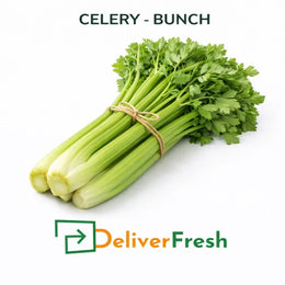 Farm-fresh celery bunch for wholesale and retail customers in Melbourne Australia