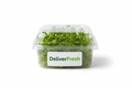 Chervil Cress