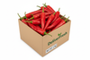 Chilli Red