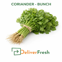 Fresh coriander bunch with roots, premium quality leafy greens supplied by DeliverFresh in Melbourne, Australia
