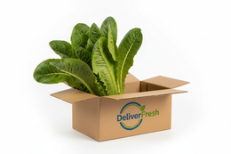 Cos Lettuce Single
