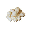Mushroom Cup (1 Kg) DeliverFresh