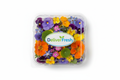 Edible Flowers