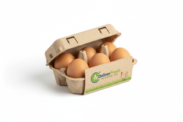 Eggs Free Range 600g	Box - With DeliverFresh name on box, White Background 500 X 500 size