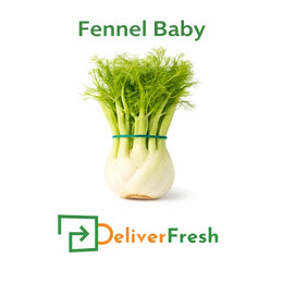 Fresh baby fennel bunches premium quality by DeliverFresh