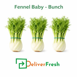 Fresh baby fennel bunch with green fronds supplied by DeliverFresh