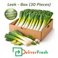 Fresh leeks packed in a box of 30 pieces, premium wholesale vegetables arranged neatly