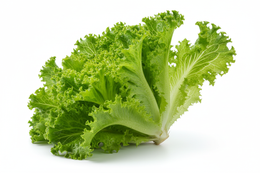 Lettuce Coral Green – Fresh Crisp Lettuce Per Piece – DeliverFresh.au Melbourne