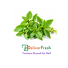 Micro Green Basil - (Bunch)
