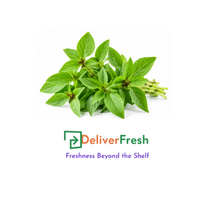 Micro Green Basil - (Bunch)