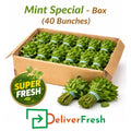 Mint Special 40 bunches box with DeliverFresh branding for catering, retail, and bulk supply