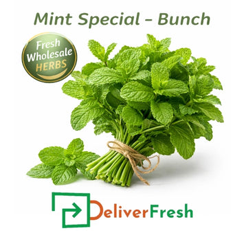 Fresh mint special bunch with vibrant green leaves, aromatic herbs for cooking and garnishing
