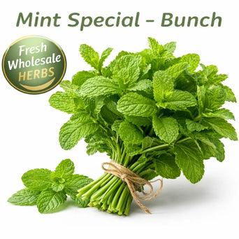 Premium mint bunch tied fresh for wholesale herb supply and kitchen use