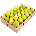 Pears - 1 Piece