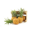 Pineapple - Pieces DeliverFresh