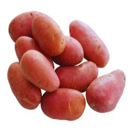 Fresh premium red potatoes loose on a pure white background suitable for cooking and retail