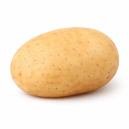 Fresh washed potato single piece on a pure white background by DeliverFresh