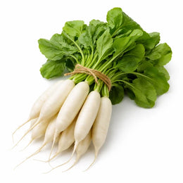 Fresh white radish bunch with green leaves tied together on a pure white background by DeliverFresh