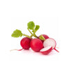 Get Fresh Radish Red Online in Melbourne with Deliverfresh