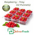 Fresh raspberries in a tray of 12 punnets, premium wholesale berries packed for freshness