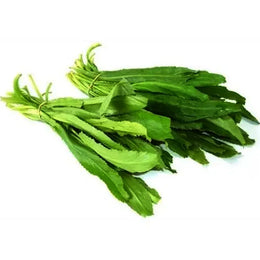 Sawtooth Coriander