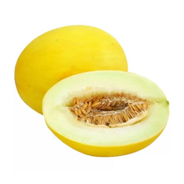 Yellow Cucumber - Each